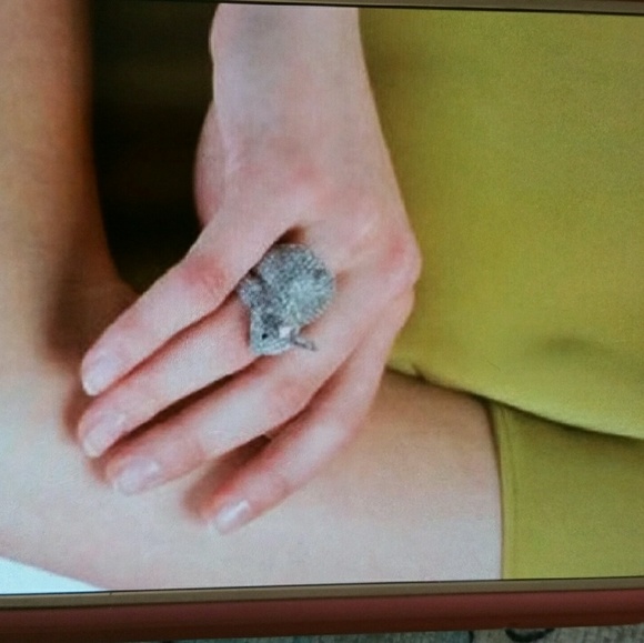 Kate Spade Bling ring - Picture 6 of 8